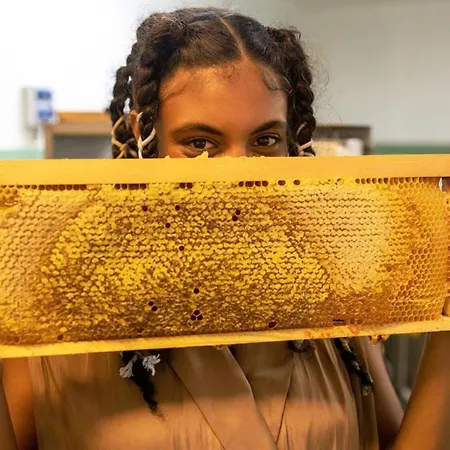 ホテル Greet コルマール