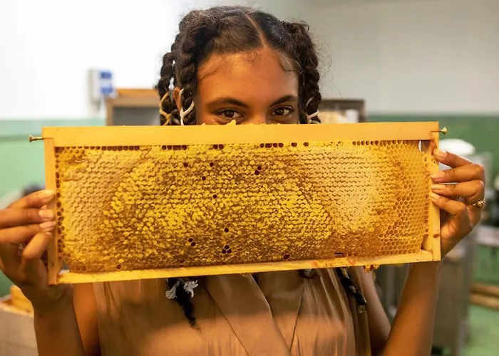 מלון Greet קולמר